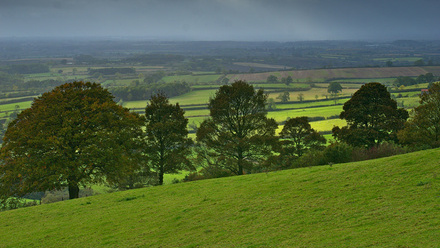 trees-on-hill.jpg