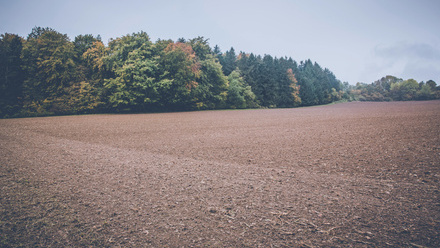 land and crops